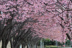 徳島中央公園