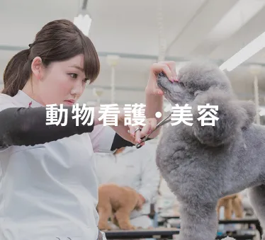 動物看護・美容