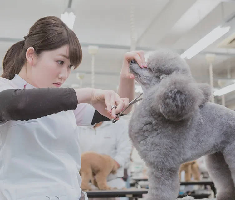 動物看護・美容