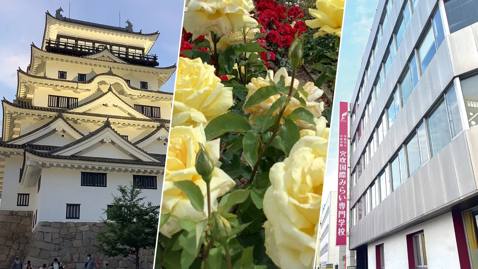 穴吹国際みらい専門学校日本語学科